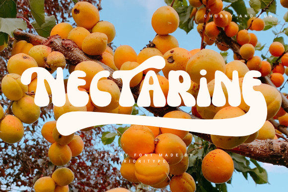 Nectarine: A Cool Retro Display Font for Creative Projects